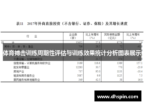 体育搏击训练周期性评估与训练效果统计分析图表展示