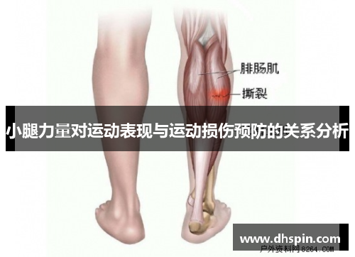 小腿力量对运动表现与运动损伤预防的关系分析